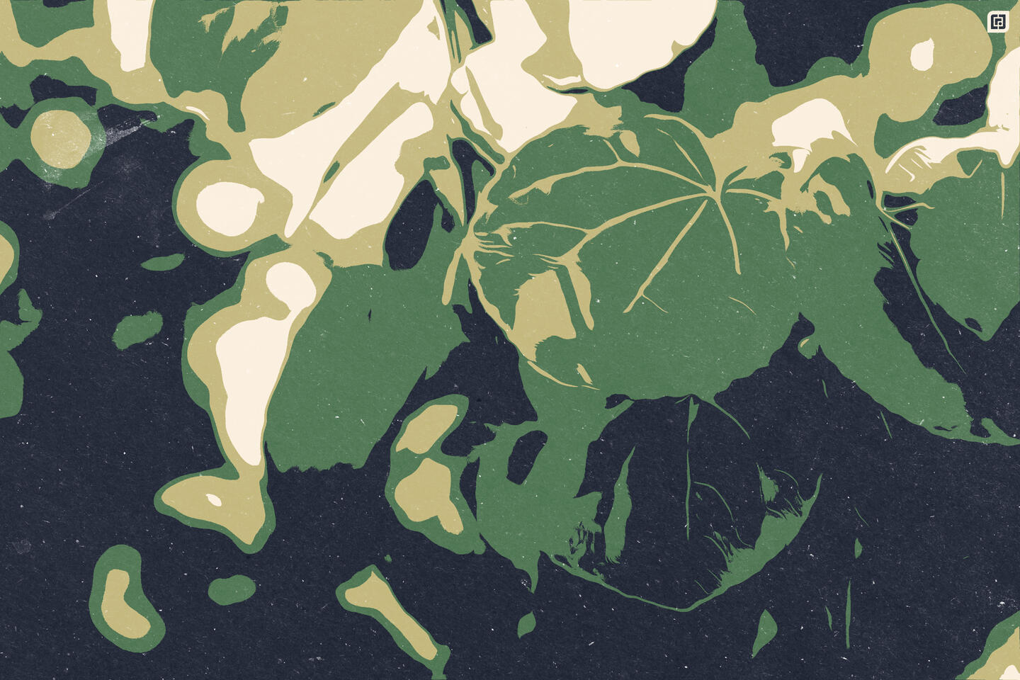 Vector Stencil Effect Raster Art: Leaves*, 2023 Adobe Photoshop